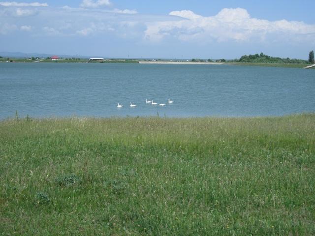 Lac 2 Bunget - Bratesti - gedc0346.JPG